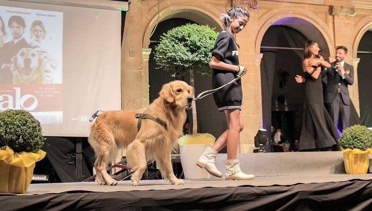 cane attore italo