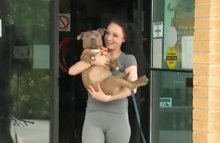 bella cane rapito maltrattato