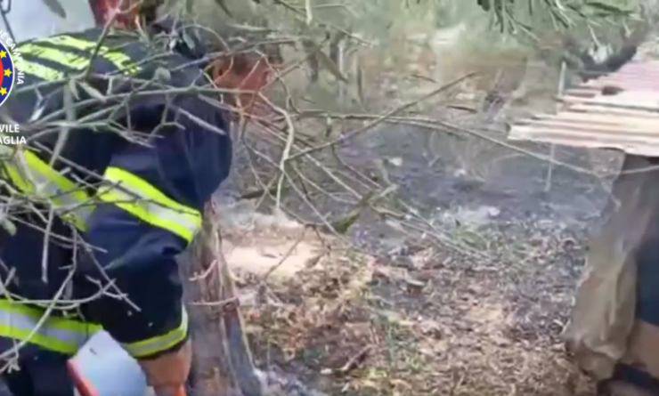 protezione civile salva cane