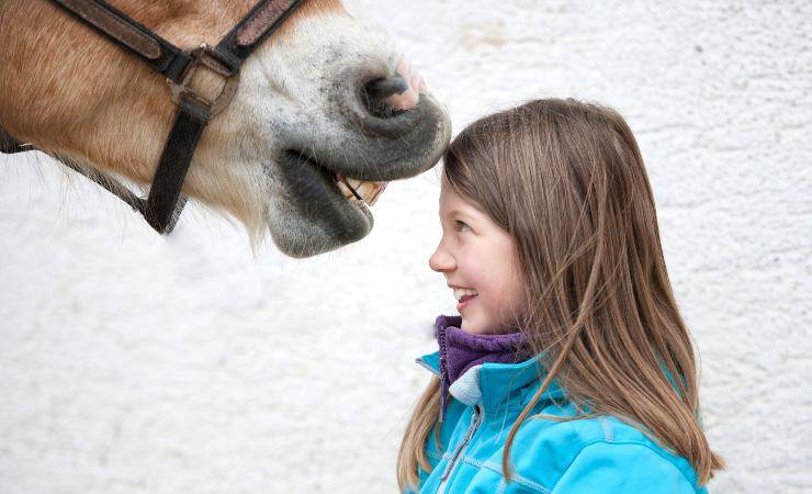 cavallo con bambina