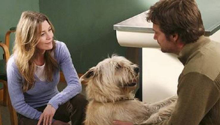 cane Greys Anatomy