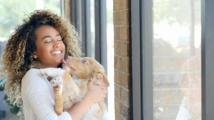Persone identificano cane odore