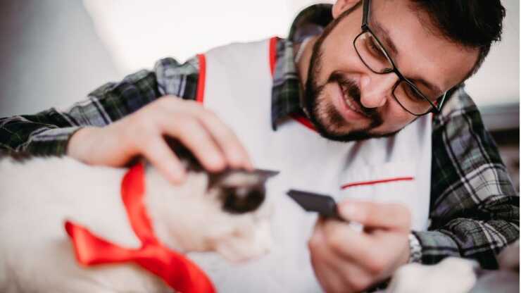 Come scegliere toelettatore gatto