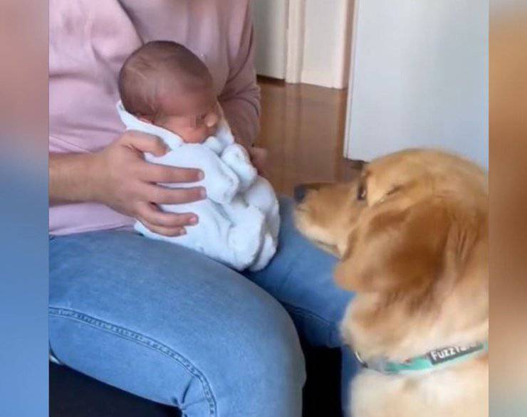 Cagnolino incontra bambino appena nato