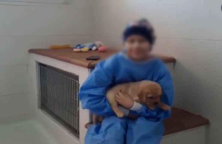 Bambina cani