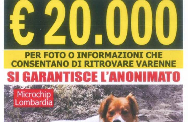 varenne cane scomparso ricompensa
