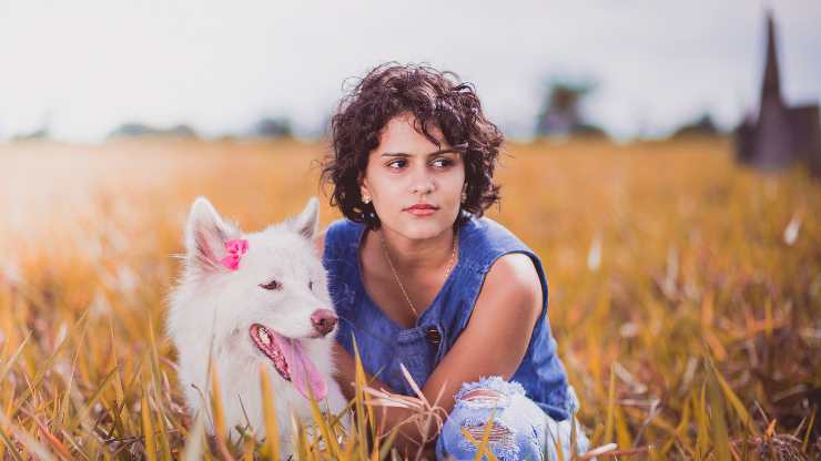 Pericoli e rischi di settembre per il cane