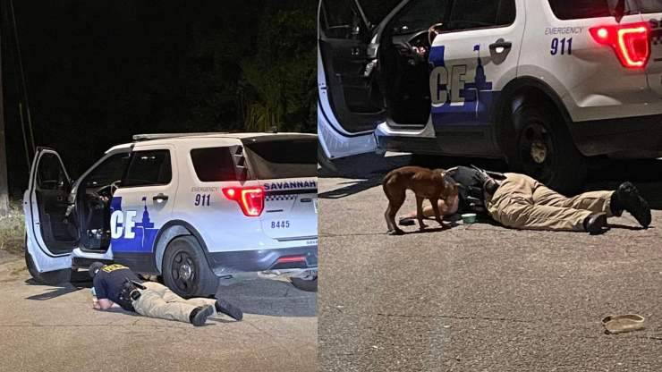 agente salva cane lasciato ciglio strada