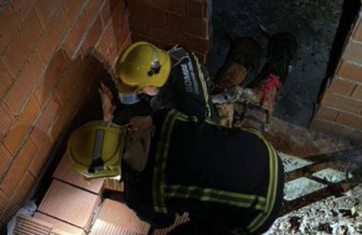 cani precipitano pozzo cantiere
