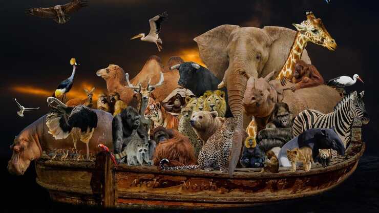 Animale alto mondo