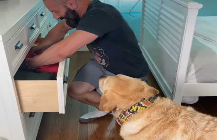 Cane Magnus