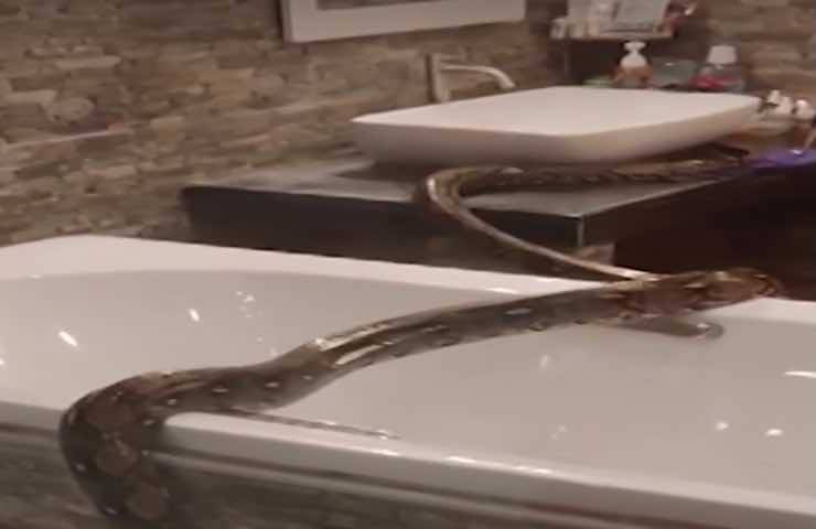 Bagno donna