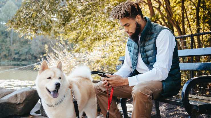 perché non guardare il cellulare quando passeggiamo con il cane