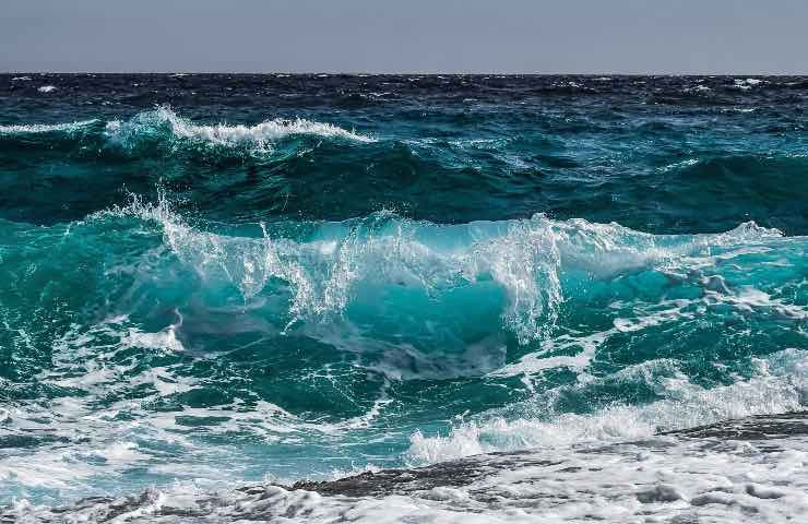 Mare padrone