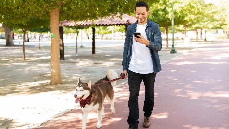 perché non guardare il cellulare quando passeggiamo con il cane