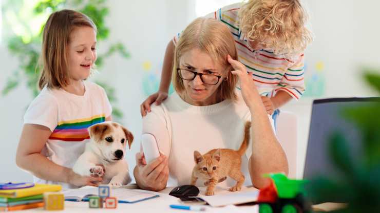 ritorno a scuola con animali domestici