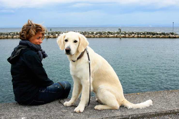 Razze canine che seguono sempre il padrone