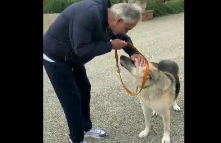 bocelli adotta cane ucraina