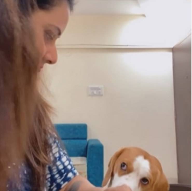 cane Toto osserva padrona