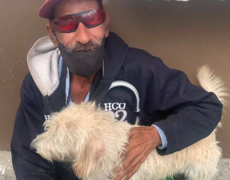 Peluchin cane guida rubato