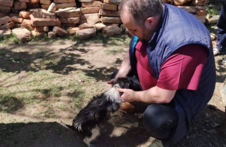 cagnolino liberato maltrattamenti proprietario