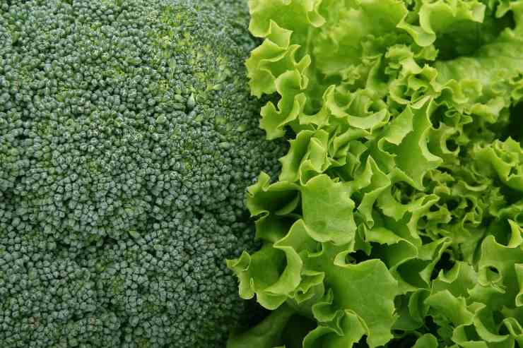 Gruppo di verdure