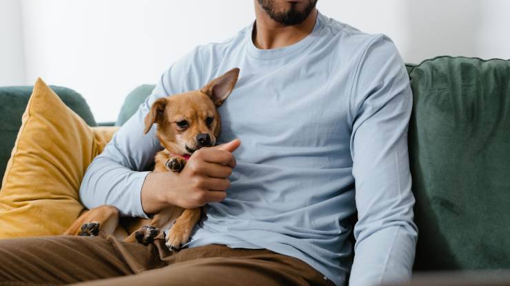 cane e uomo