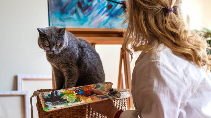 gatti possono vedere i colori