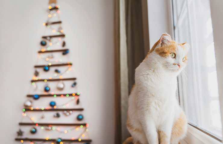 Albero di natale alternativo