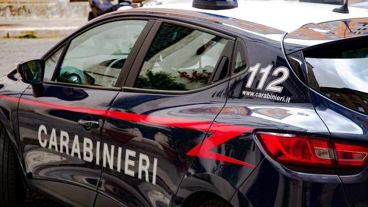 cuccioli traffico europeo