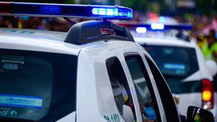 cane va da polizia