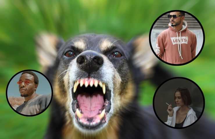 Cane abbaia alle persone
