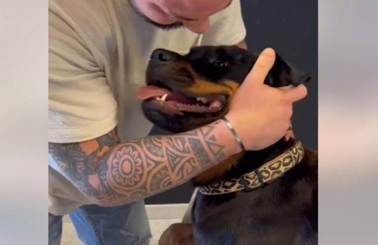 cane dal chiropratico