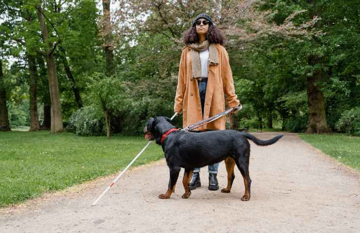 Cane guida per ciechi