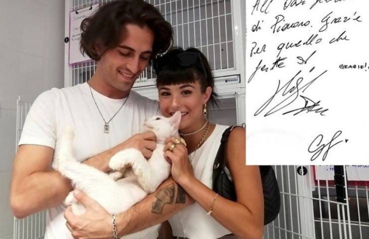gatto diamiano giorgia