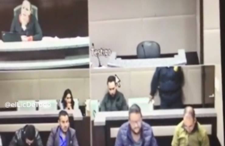 cane finisce tribunale risate