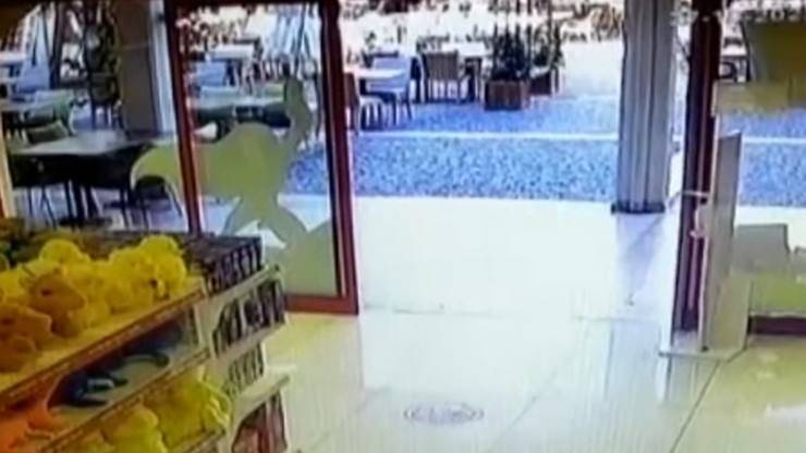 cani rubano negozio