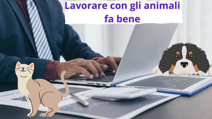 Lavorare in ufficio con cane e gatto