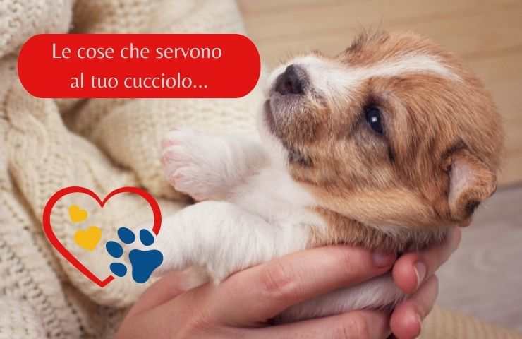 Cose utili per il cucciolo