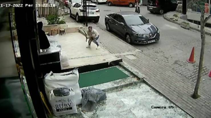 prende al volo un gatto
