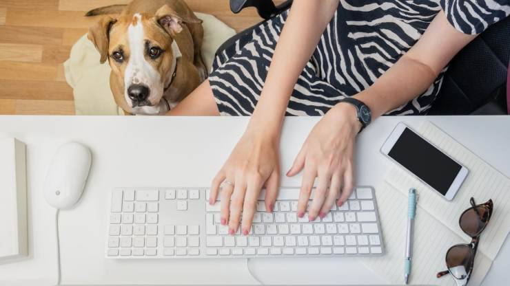 Cane al lavoro col padrone
