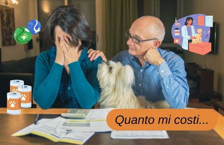 Spese per mantenere Fido