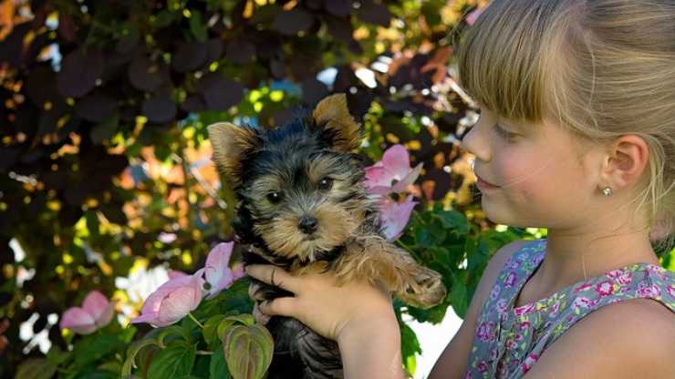 cane e bambina