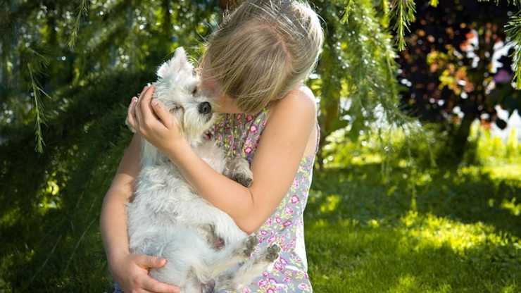 cane e bimba