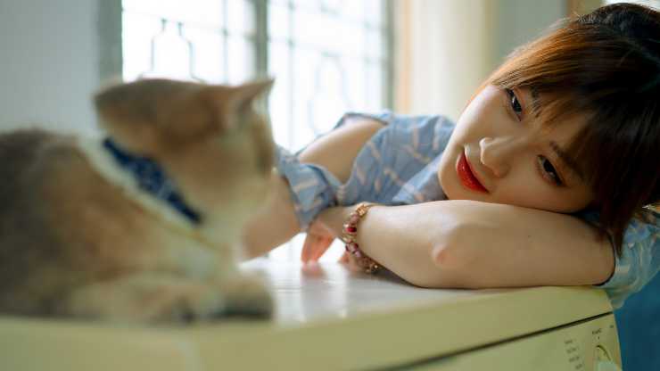 donna e gatto