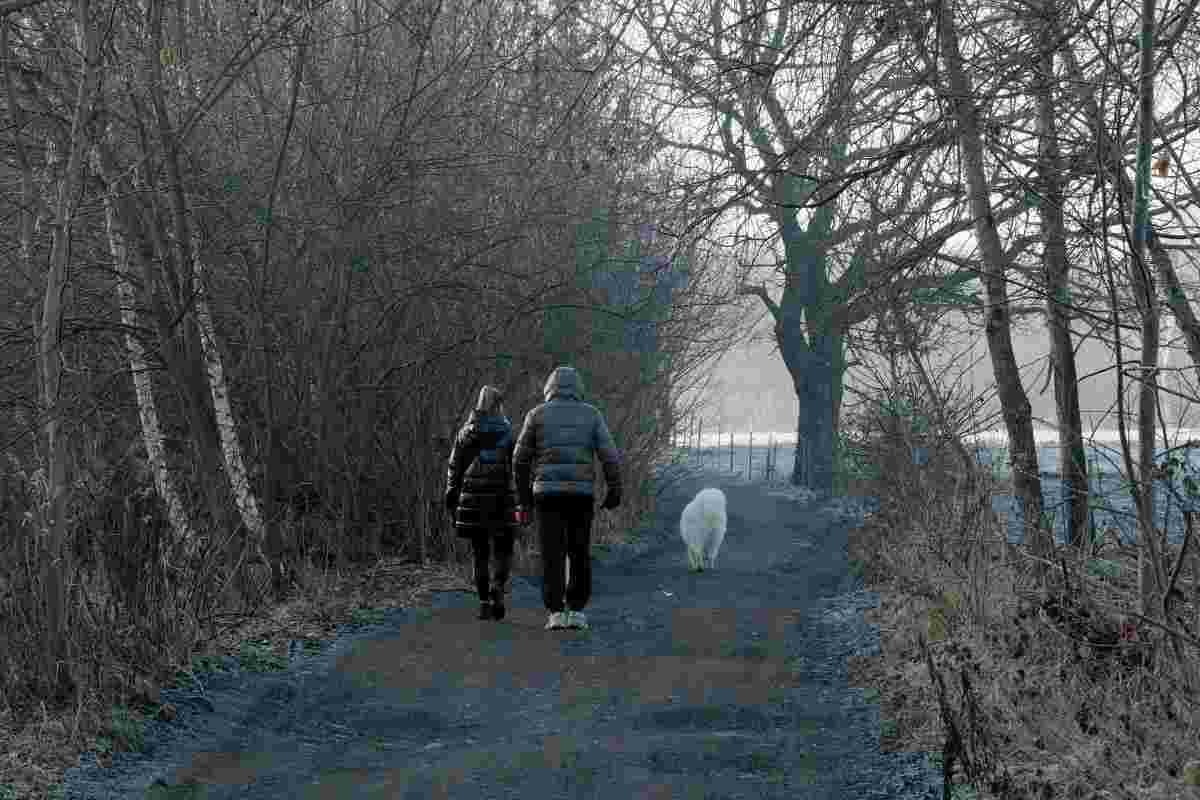 passeggiare col cane