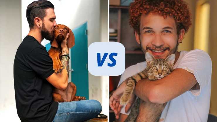 persone che amano cani e gatti