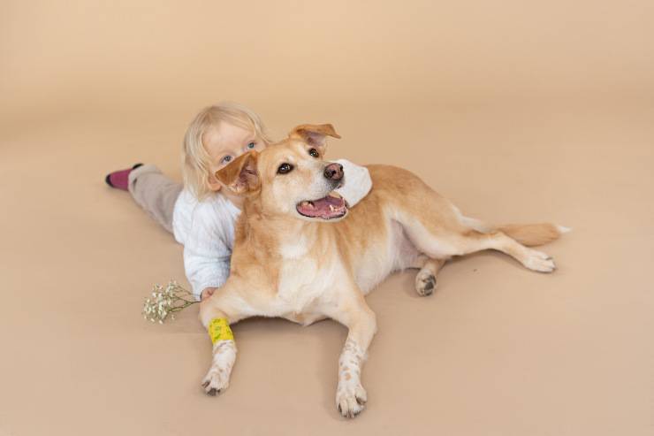 Le razze di cani affettuose