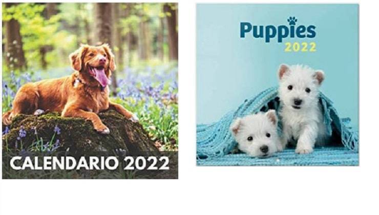 idee regali economici amanti cani
