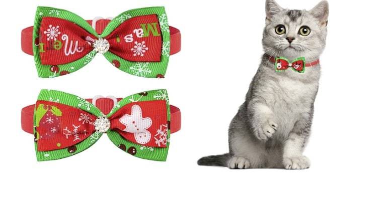 collare natale gatto